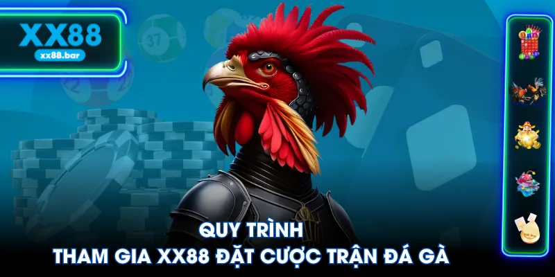 Quy trình tham gia XX88 đặt cược trận đá gà